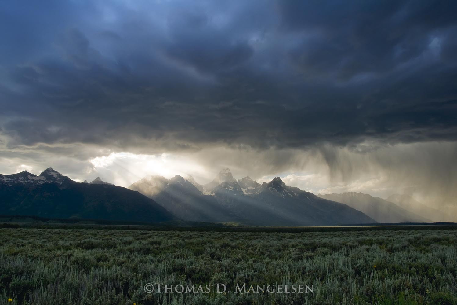 Storm over the Tetons by Thomas D. Mangelsen